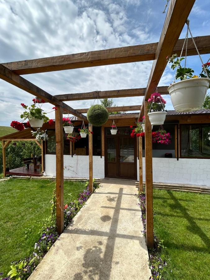Casa Eden Fit Villa Faget  Exteriör bild